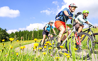 Zwycięzca w niespełna 19 godzin pokonał ponad 600 kilometrów. Rowerzyści z całej Polski rywalizowali na trasach Warmii i Mazur Zwycięzca w niespełna 19 godzin pokonał ponad 600 kilometrów. Rowerzyści z całej Polski rywalizowali na trasach Warmii i Mazur